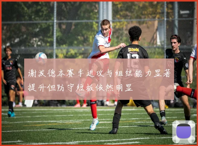 谢泼德本赛季进攻与组织能力显著提升但防守短板依然明显